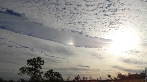 Altocumulus-stratiformis-translucidus-cavum-and-a-parhelion