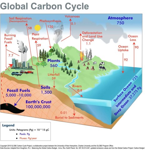 Mohou za globální oteplování tzv. skleníkové plyny? Nenechte se vysmát! Podíl lidstva na tzv. uhlíkovém cyklu jsou pouhá ca 4%. Zdroj: GLOBE Carbon Project