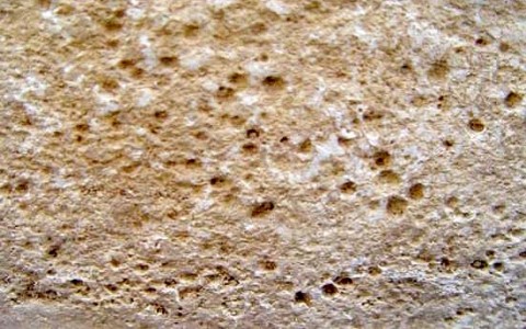 Biopitting: The presence of micro-fossils of a marine origin on the ossuary.