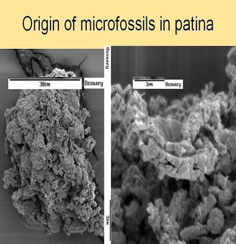 James ossuary under microscope: The presence of micro-fossils of a marine origin on the ossuary and inside the letter grooves indicate that the inscription and the ossuary were subject to an identical history. The micro-fossils in the patina origin from adherence of micro-fossil particles in soil that is typical of the Jerusalem region, that penetrated the burial cave (soil erosion that occurred over centuries) that contained the ossuary.