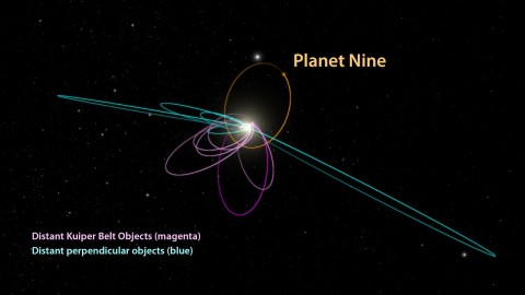 Teoretický fyzikální model Caltechu pro výpočet dráhy Planety X. | A predicted consequence of Planet Nine is that a second set of confined objects should also exist. These objects are forced into positions at right angles to Planet Nine and into orbits that are perpendicular to the plane of the solar system. Five known objects (blue) fit this prediction precisely. Credit: Caltech/R. Hurt (IPAC) Source: www.caltech.edu