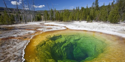 Yellowstone National Park region