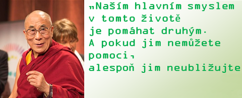 Dalajlámův výrok o smyslu života obsahuje jenom polovinu pravdy? Jenom náhoda? Nebo spíš zlý záměr?