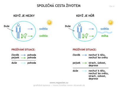 spolecna-cesta