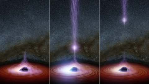 In 2014, NASA's Nuclear Spectroscopic Telescope Array, or NuSTAR, and Swift space telescopes witnessed an X-flare from the supermassive black hole in a distant galaxy called Markarian 335. | Figure shows how a shifting corona can create a flare of X-rays around a black hole. The corona gathers inward (left), becoming brighter, before shooting away from the black hole (middle and right). | A supermassive black hole is depicted in this artist's concept, surrounded by a swirling disk of material falling onto it. The purplish ball of light above the black hole, a feature called the corona, contains highly energetic particles that generate X-ray light. If you could view the corona with your eyes, it would appear nearly invisible since we can't see its X-ray light. Source: NASA