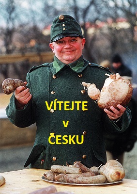 svejk